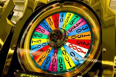 Dealer in a live-dealer studio preparing a table during market opening hours, with multiple camera angles visible